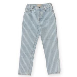 Everlane The 90s Cheeky Straight Jeans Pinstripe Size 25 Ankle Button Fly